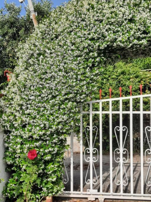 Casa Olena Villa Nea Poteidaia Bagian luar foto