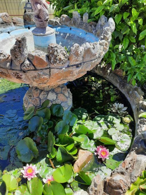 Casa Olena Villa Nea Poteidaia Bagian luar foto